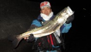 Mr.7さん87