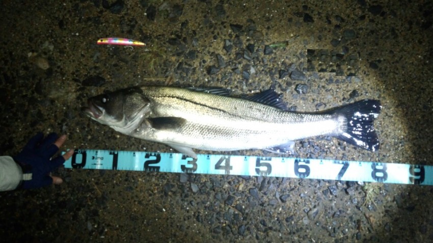 スナイパー2さん