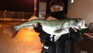 てつさん