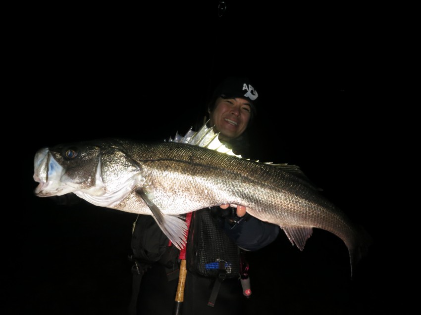 まさち4 まさち4