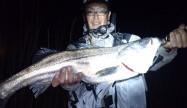 青柳 宏充