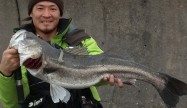 ショウ5