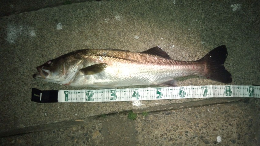 スナイパー（ノブマン）83