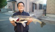 マロン