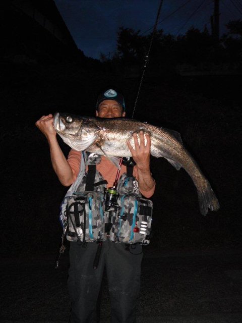 kenty-papas2 kenty-papas2