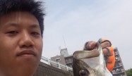 まめた