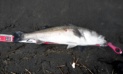 赤い彗星86 赤い彗星86