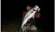 masahiro3