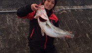 ほせお
