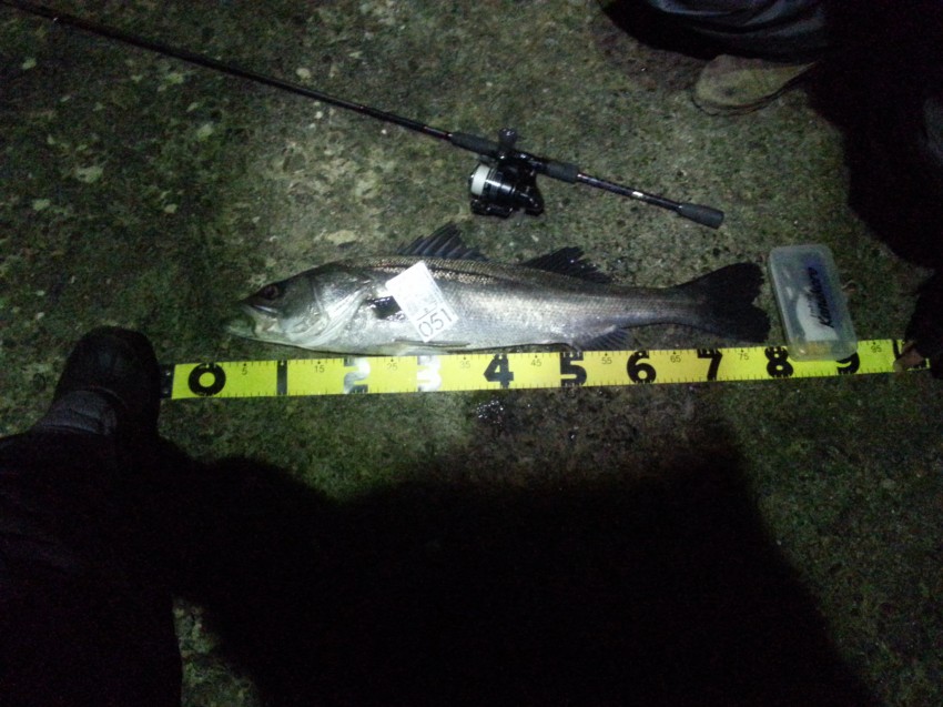 かなころ太郎80