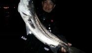 オサム
