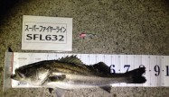 まひろ82