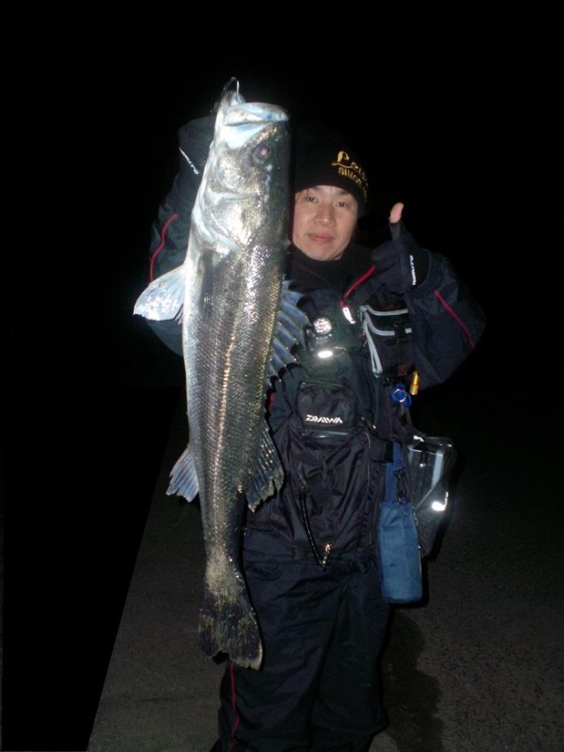 Uniden Digital Camera