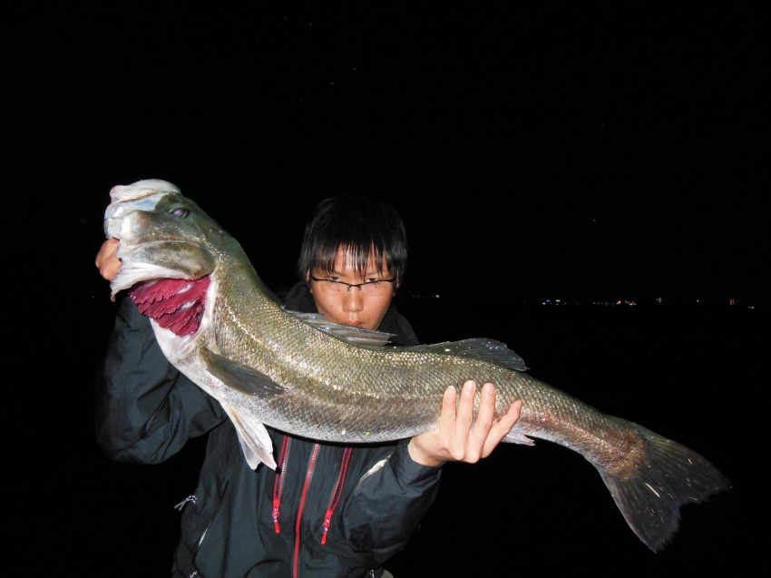 川鱸紀ノ川研究所