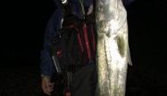釣道無限の阿部