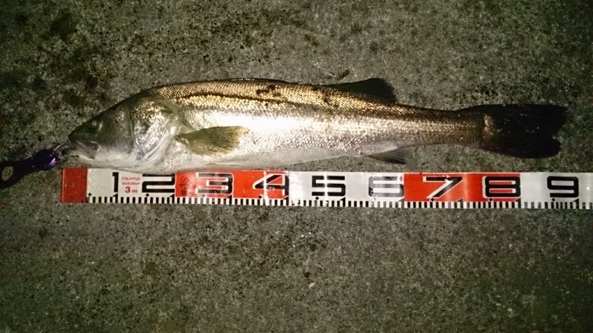 あおてんくん90