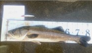 tukasa83
