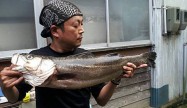 マサさん