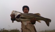 RIKKY (2)
