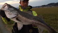たろ