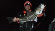 トルクハンターシーバス部