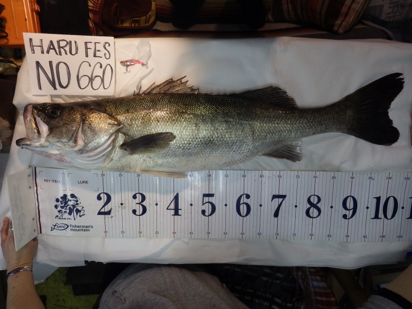 鳥肌 NEKO a.k.a WILDCAT105