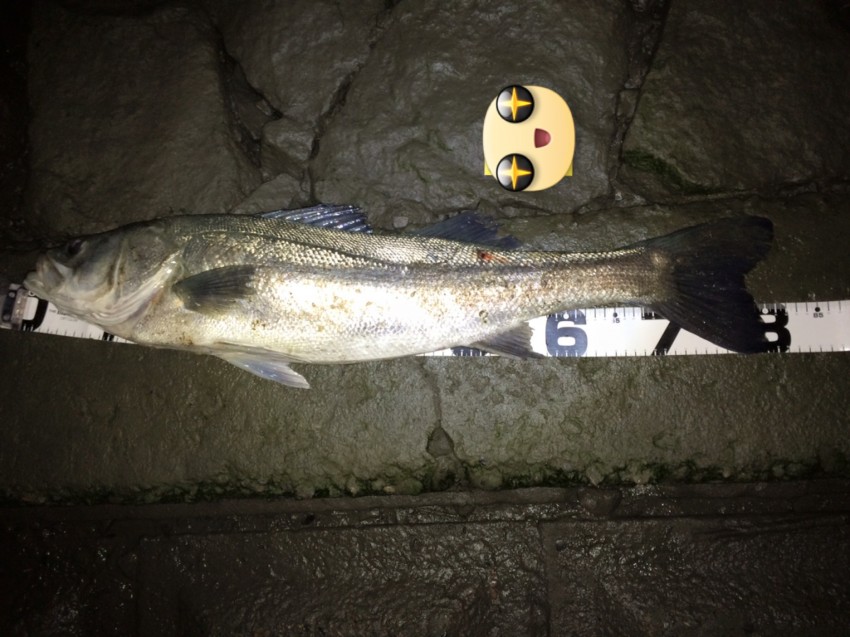 コデラックス82