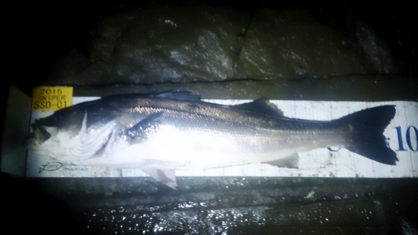 スナイパーイケ！98