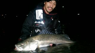 鳥肌 NEKO a.k.a WILDCAT