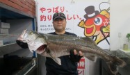 ごっち