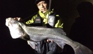 本間昌和 (2)