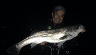 浸かり屋