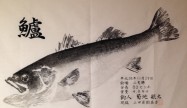 こうた