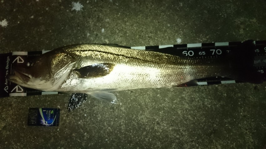 KGI.Co,.Ltd.代表取締役87