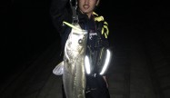 YUKING