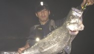 ベッチ
