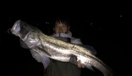 けいすけ