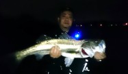 よしけん (2)
