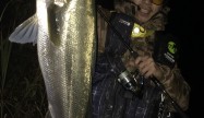 本間昌和