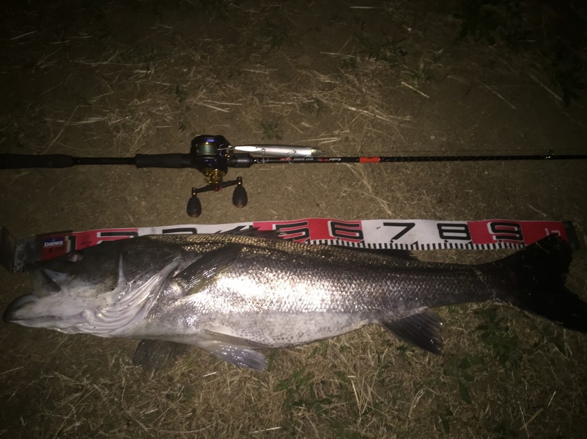 たいようまる104