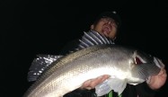 本嶋 康晴