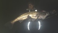 タカミー