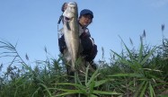 河野浩二 (2)