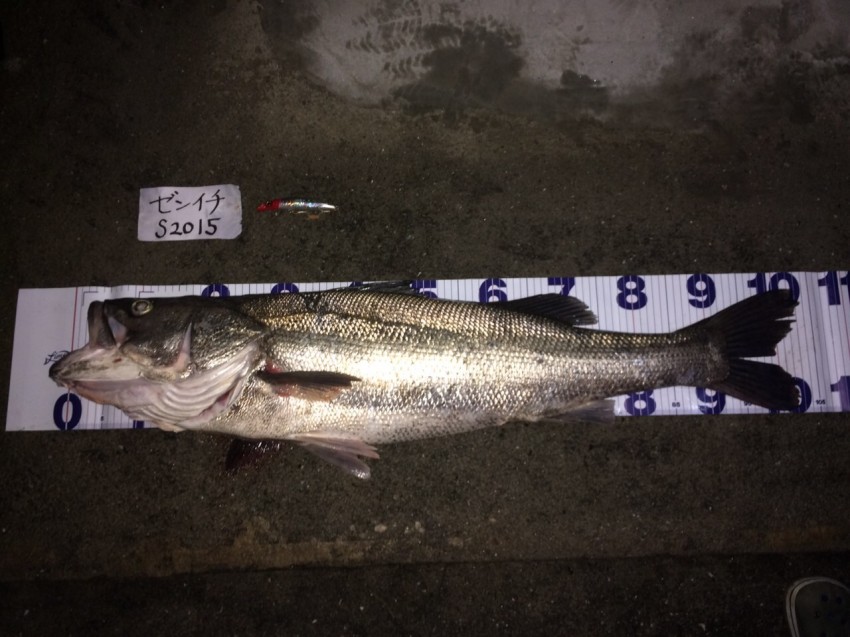 しょーちゃん103