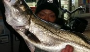よっしー (2)