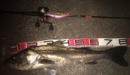 たいようまる.アイスライド185.80