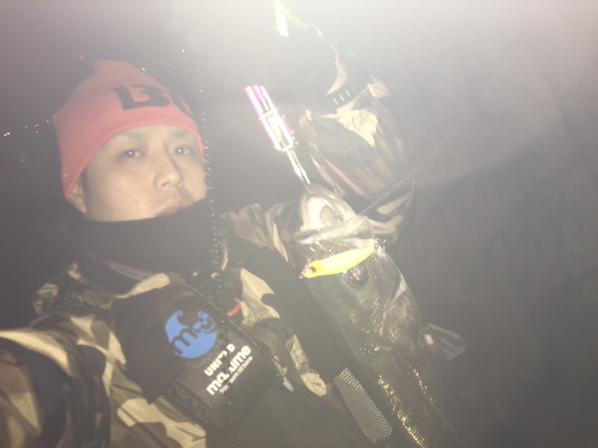 かがちゃんぴ～