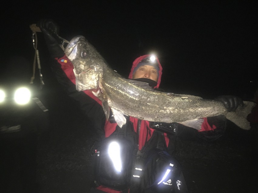 ごり巻き狂。 (2)