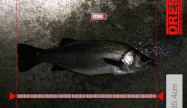 片山釣友会85.4