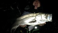本嶋康晴